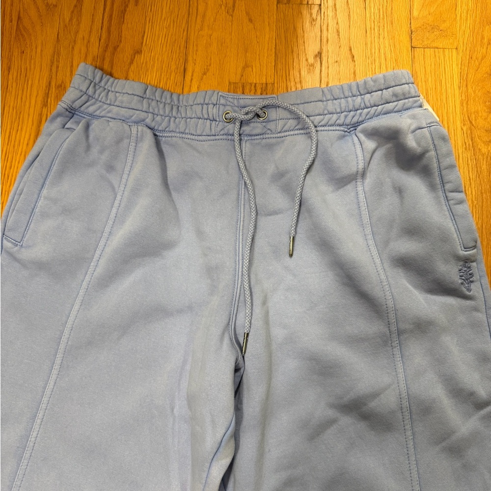Free People Purple Drawstring Sweatpants NWT